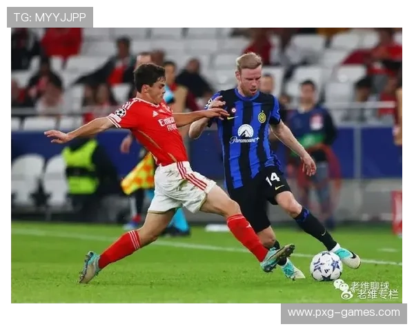 本菲卡加速青训投入，瞄准未来国际赛场腾飞